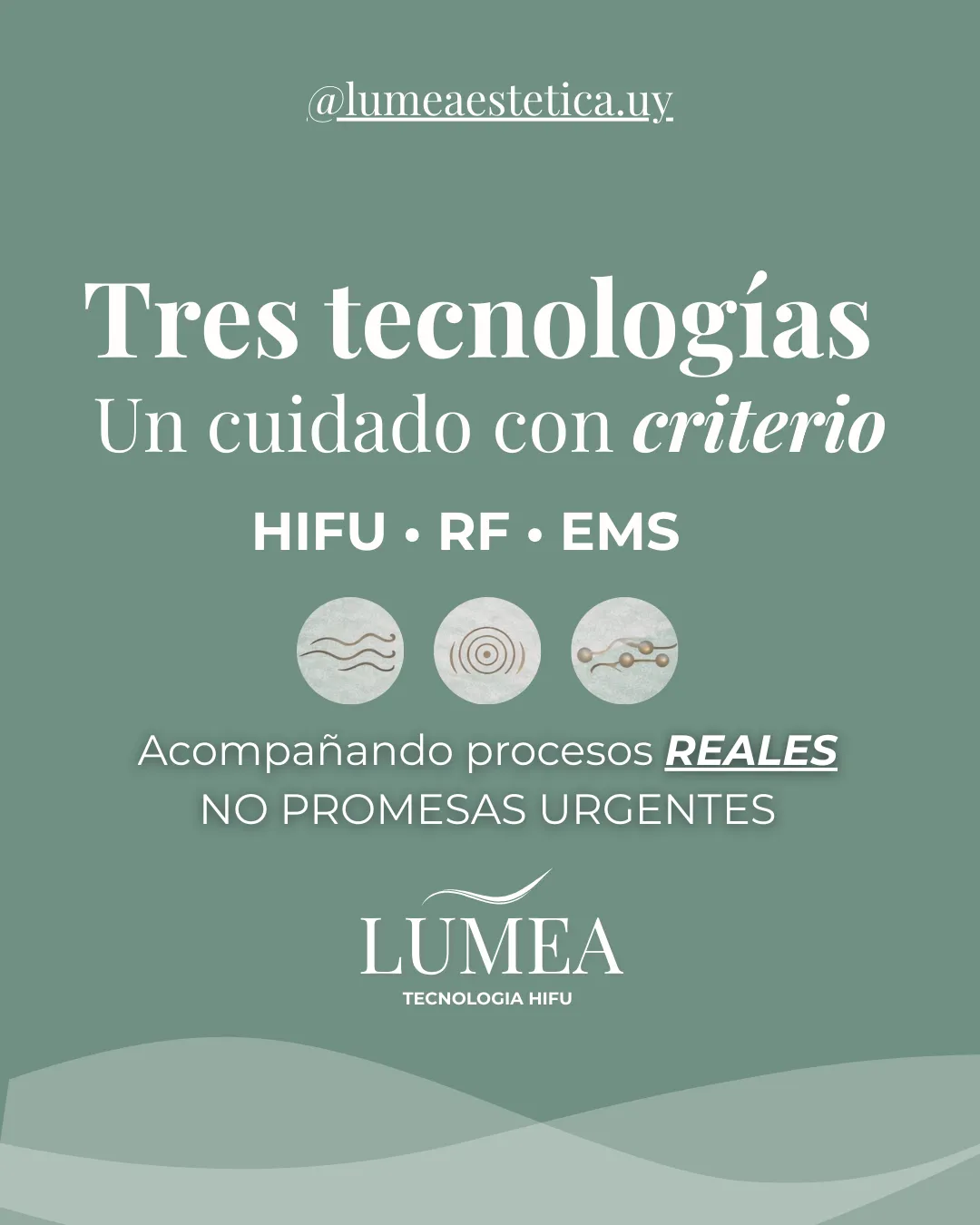 Lumea Estudio